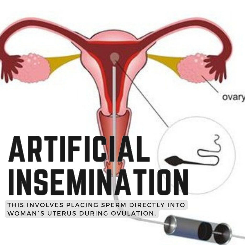 ARTIFICIAL-INSEMINATION